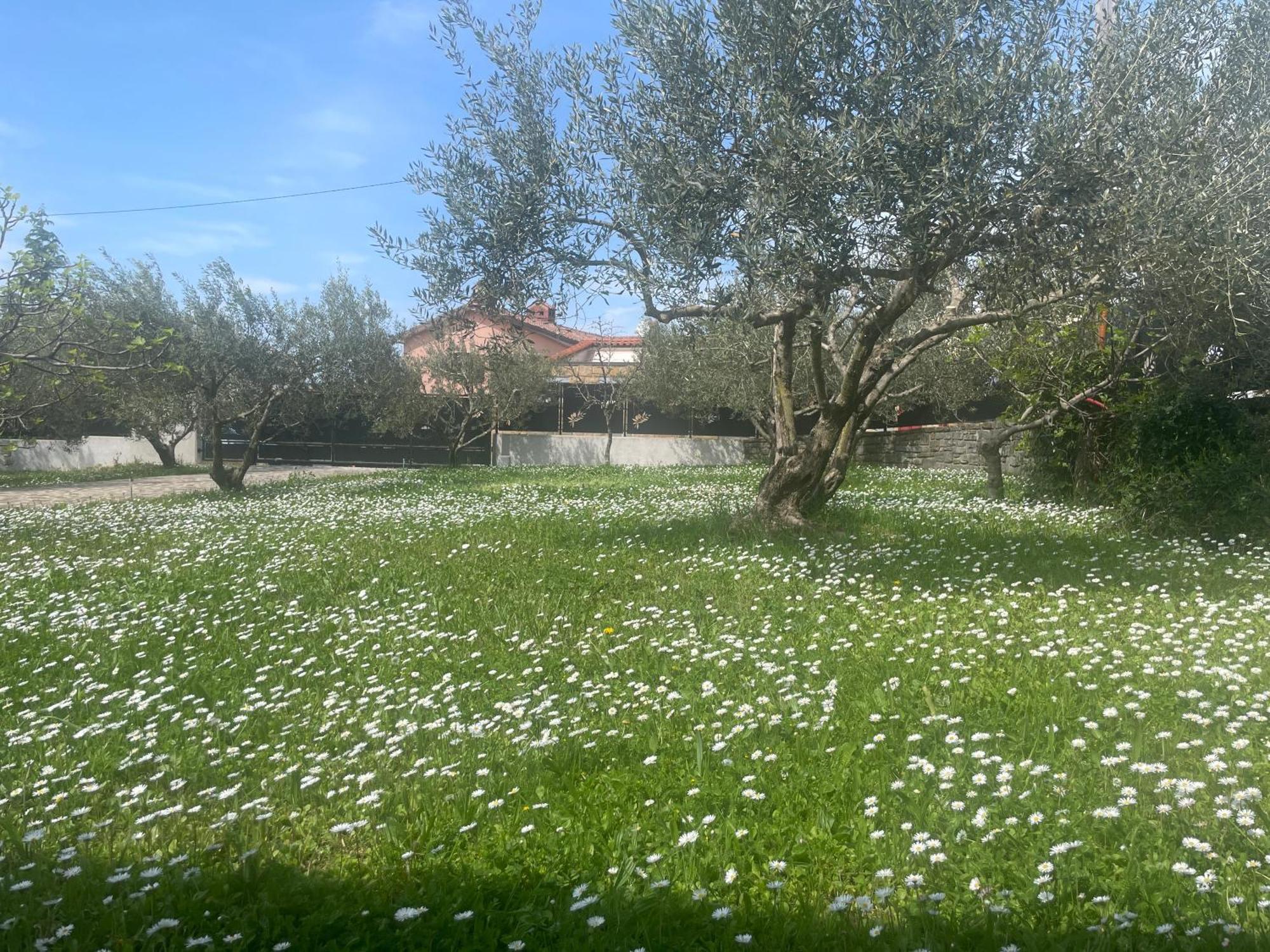 Paradise Villas With Swimming Pool Koper Buitenkant foto