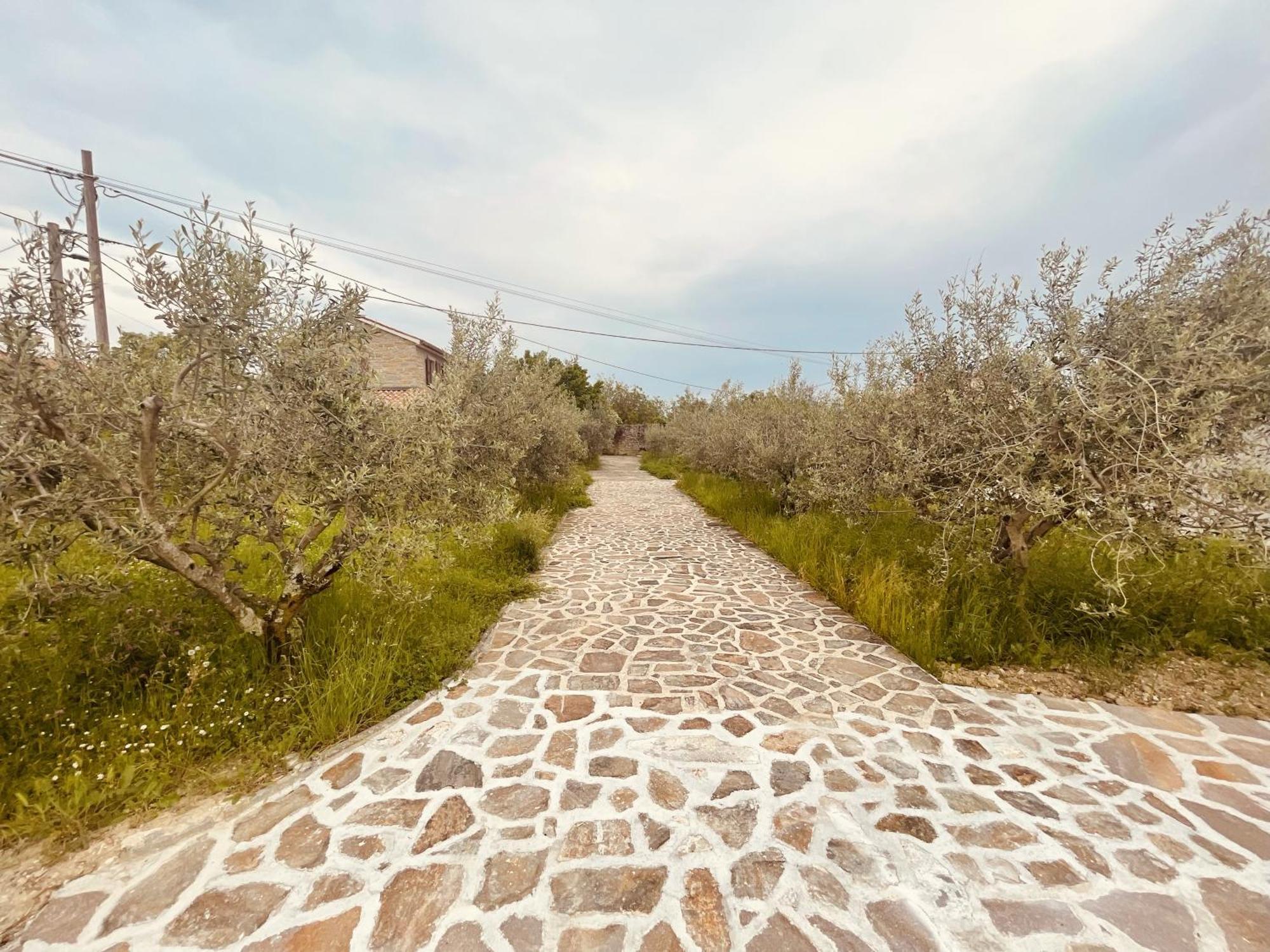 Paradise Villas With Swimming Pool Koper Kamer foto
