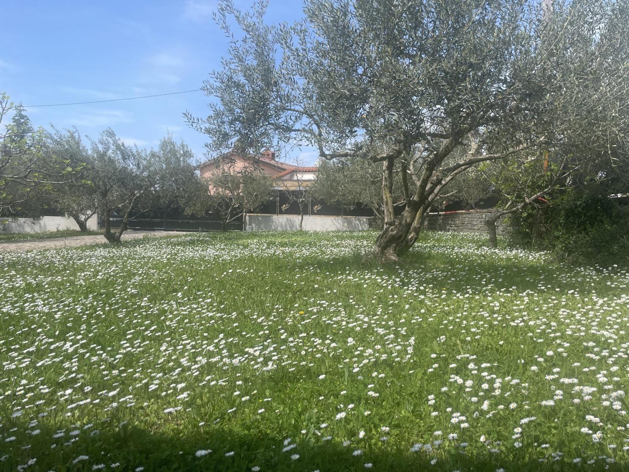 Paradise Villas With Swimming Pool Koper Kamer foto